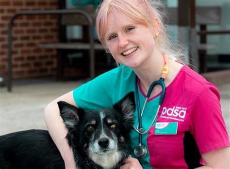 pet insurance pdsa|Welcome to the PDSA Insure Hub .